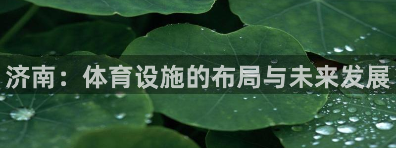 凯捷体育平台APP：济南：体育设施的布局与未来发展