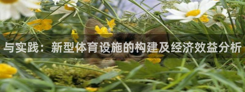 凯捷体育注册：与实践：新型体育设施的构建及经济效益分