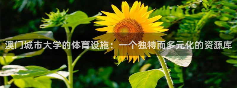 凯捷体育招商电话号码是多少号：澳门城市大学的体育设施