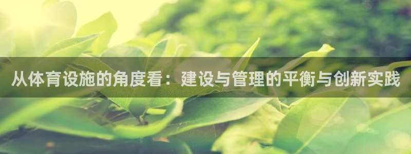 凯捷体育平台注册流程图：从体育设施的角度看：建设与管