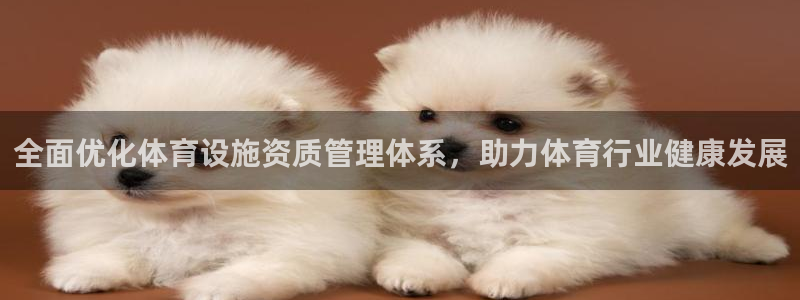 凯捷体育集团：全面优化体育设施资质管理体系，助力体育