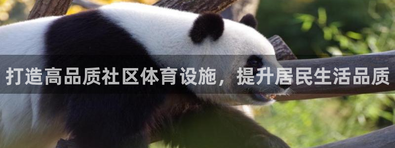 凯捷体育招商电话号码查询是多少：打造高品质社区体育设