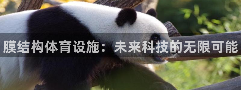 凯捷体育平台APP：膜结构体育设施：未来科技的无限可