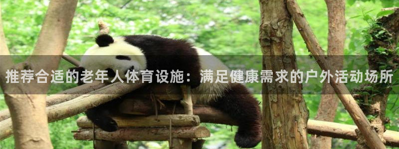 凯捷体育集团简介：推荐合适的老年人体育设施：满足健康