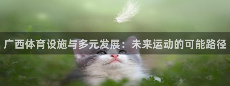 凯捷体育集团官网首页：广西体育设施与多元发展：未来运