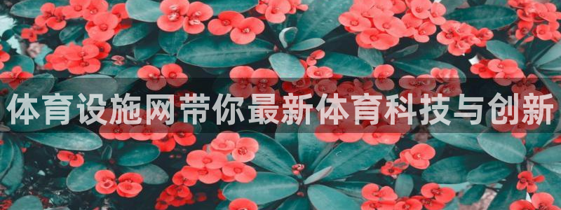 海南凯捷体育：体育设施网带你最新体育科技与创新