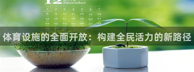 凯捷体育娱乐：体育设施的全面开放：构建全民活力的新路