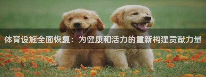 凯捷体育平台假的吗是真的吗：体育设施全面恢复：为健康