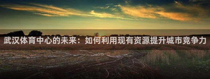 凯捷体育招商电话地址查询：武汉体育中心的未来：如何利