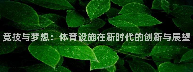 凯捷体育娱乐首页官网下载：竞技与梦想：体育设施在新时