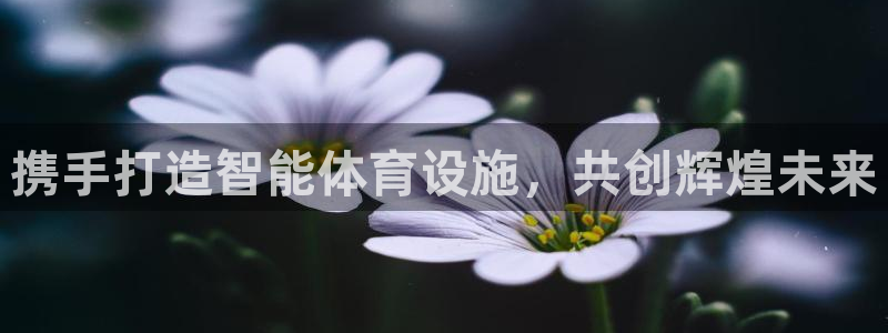 凯捷体育集团简介：携手打造智能体育设施，共创辉煌未来