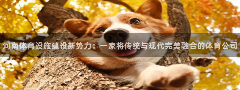 注册凯捷体育：河南体育设施建设新势力：一家将传统与现