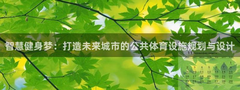 凯捷体育开户：智慧健身梦：打造未来城市的公共体育设施