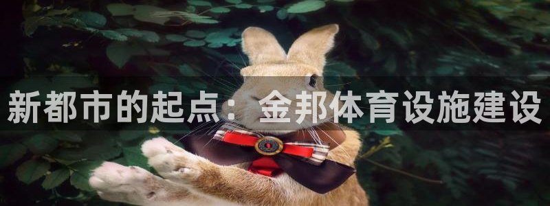 凯捷体育平台注册要钱吗：新都市的起点：金邦体育设施建