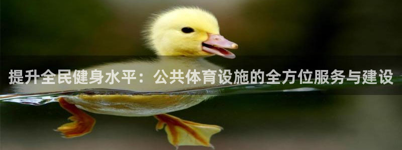 凯捷体育招商：提升全民健身水平：公共体育设施的全方位