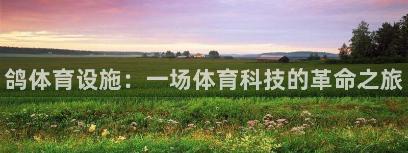 凯捷体育集团：鸽体育设施：一场体育科技的革命之旅
