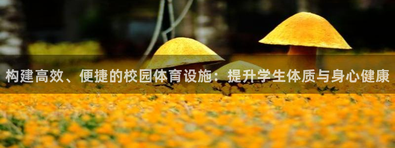 凯捷体育官网：构建高效、便捷的校园体育设施：提升学生