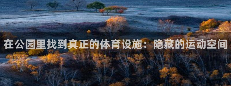 凯捷体育娱乐下载：在公园里找到真正的体育设施：隐藏的