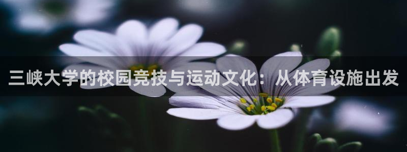 凯捷体育招商电话：三峡大学的校园竞技与运动文化：从体