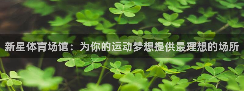 凯捷体育集团：新星体育场馆：为你的运动梦想提供最理想