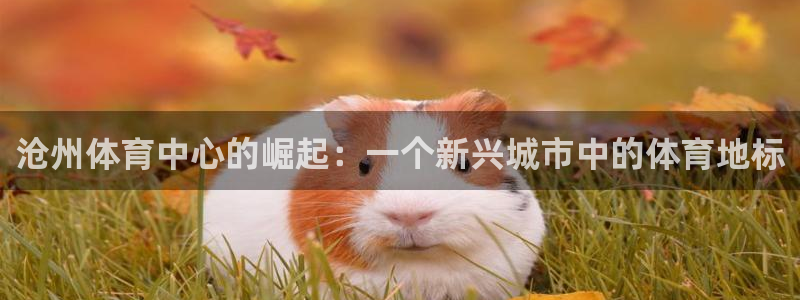 凯捷体育联系电话：沧州体育中心的崛起：一个新兴城市中