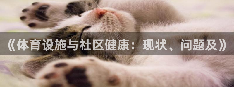 凯捷体育平台注册要钱吗是真的吗：《体育设施与社区健康