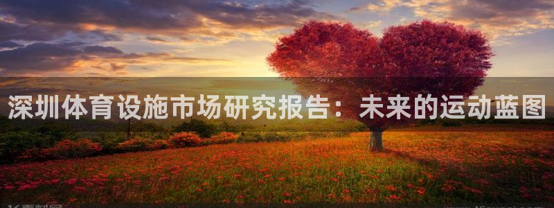 凯捷体育开户：深圳体育设施市场研究报告：未来的运动蓝图