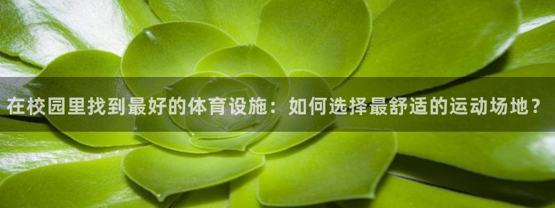 凯捷体育集团logo