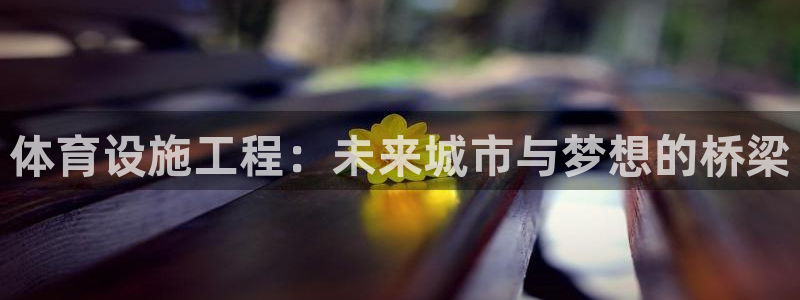 凯捷体育科技：体育设施工程：未来城市与梦想的桥梁