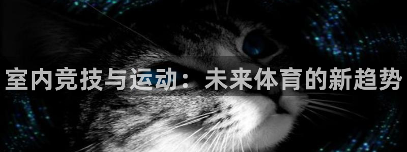 凯捷体育集团官网网址