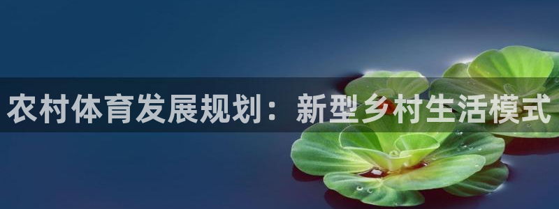 凯捷体育招商电话号码是多少：农村体育发展规划：新型乡村生活模