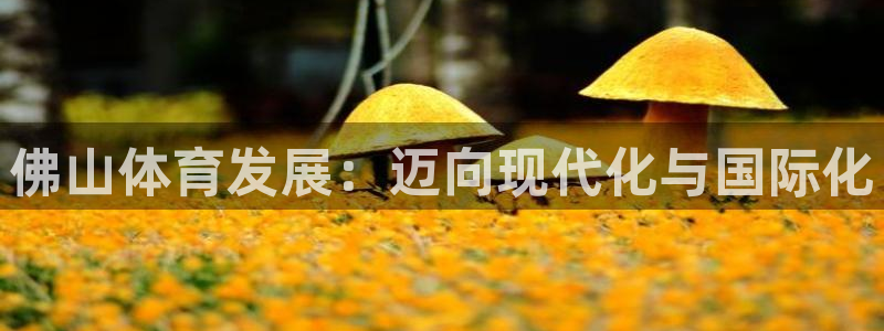 凯捷体育集团官网首页：佛山体育发展：迈向现代化与国际化