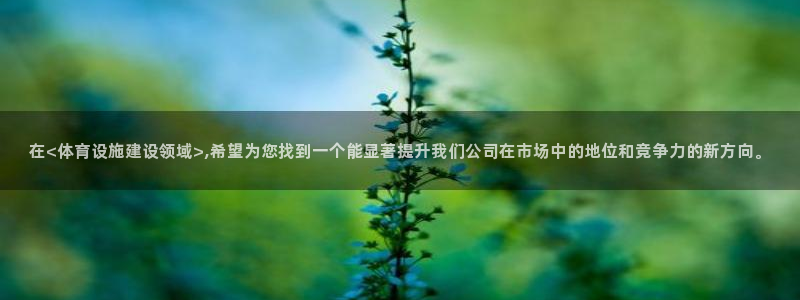 凯捷体育平台是正规平台吗：在<体育设施建设领域>,希望为您找