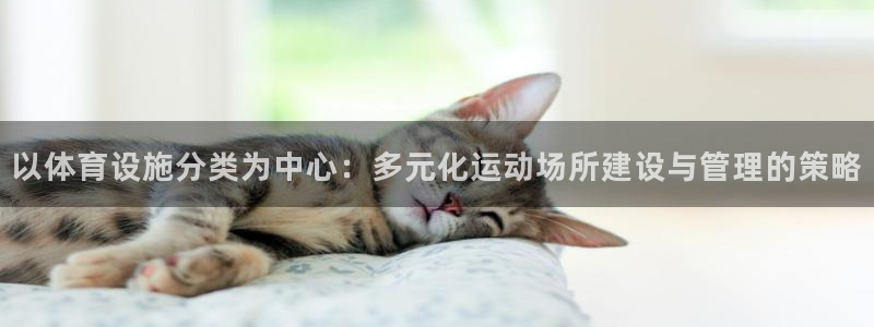 凯捷体育集团官网首页