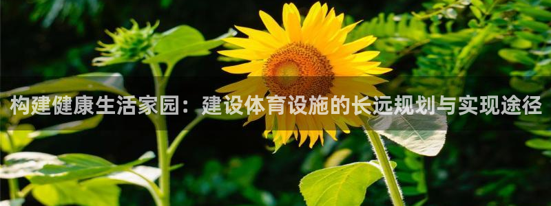 凯捷体育平台：构建健康生活家园：建设体育设施的长远规