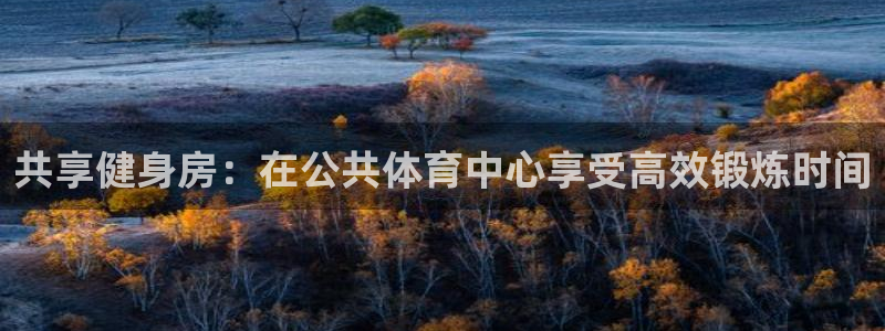 凯捷体育联系电话：共享健身房：在公共体育中心享受高效锻炼时间