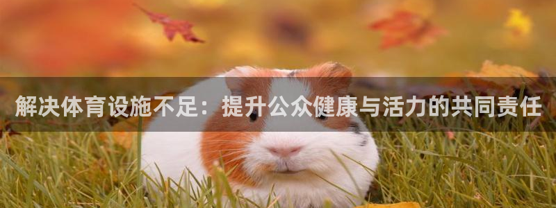 凯捷体育官网：解决体育设施不足：提升公众健康与活力的
