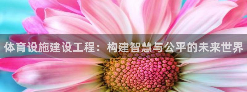 凯捷体育招商电话是多少号码：体育设施建设工程：构建智