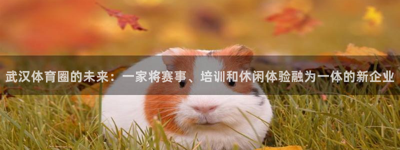 凯捷体育娱乐首页官网下载：武汉体育圈的未来：一家将赛