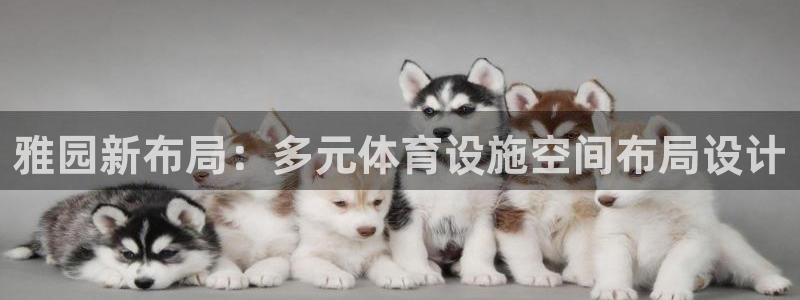 注册凯捷体育：雅园新布局：多元体育设施空间布局设计