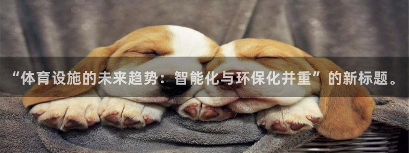 凯捷体育官方客服电话：“体育设施的未来趋势：智能化与