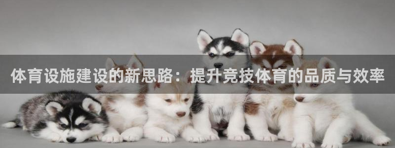凯捷体育官方：体育设施建设的新思路：提升竞技体育的品