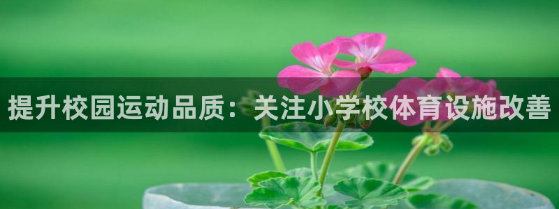 凯捷体育平台注册：提升校园运动品质：关注小学校体育设