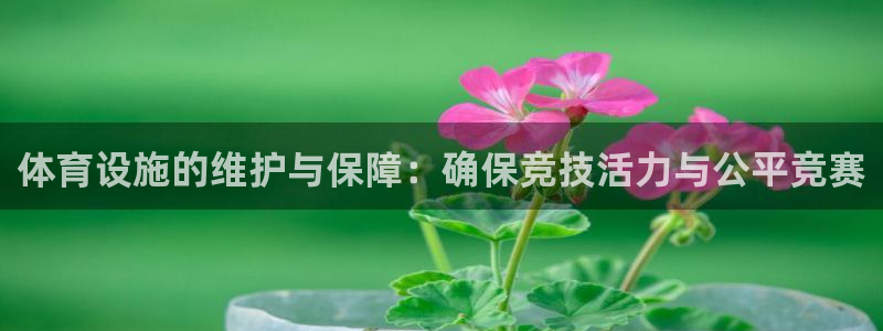 凯捷体育招商电话是多少啊：体育设施的维护与保障：确保
