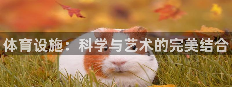 凯捷体育平台是正规平台吗知乎：体育设施：科学与艺术的完美结合