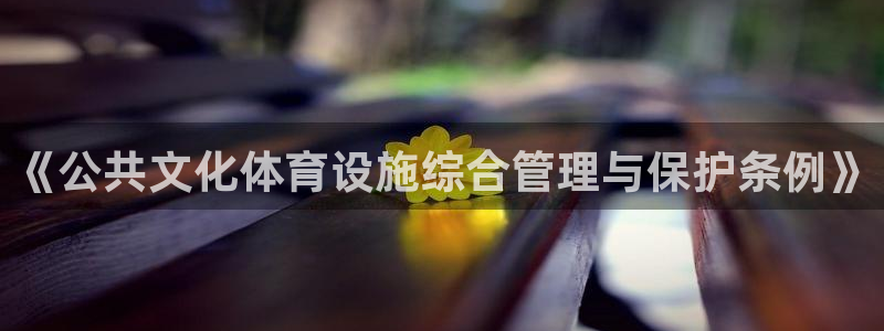 凯捷体育集团官网首页：《公共文化体育设施综合管理与保
