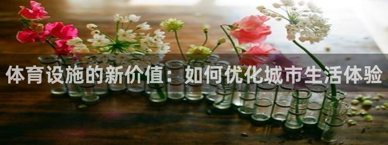 凯捷体育娱乐
