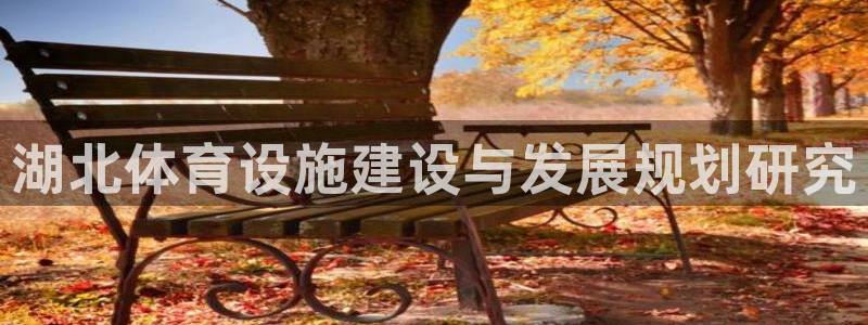 凯捷体育平台APP：湖北体育设施建设与发展规划研究