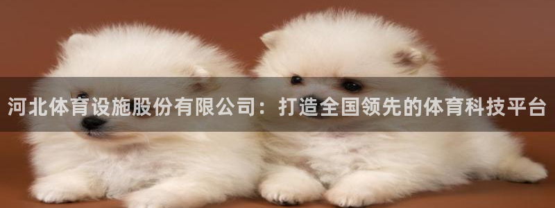 凯捷体育平台注册要钱吗：河北体育设施股份有限公司：打