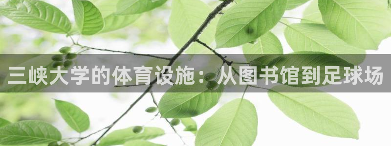 海南凯捷体育发展怎么样